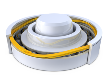 Bearing Preload WaveRing