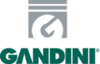 GandiniMarchioReg